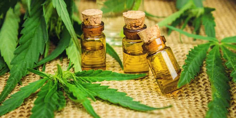 Cbd oil products growth